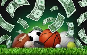 Discover the Thrills of Online Gaming at vivibet.in